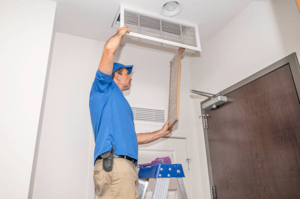 Best Affordable Air Duct Cleaning  in Mililani Mauka, HI